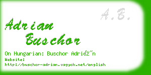 adrian buschor business card